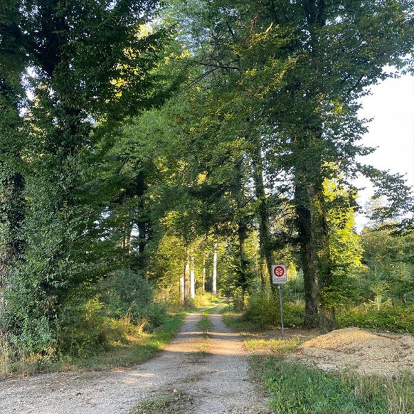 Eichban